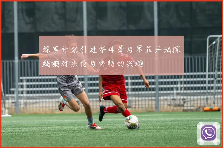 绿军计划引进字母哥与墨菲并试探鹈鹕对杰伦与怀特的兴趣