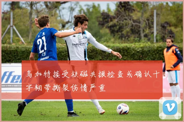 乌加特接受核磁共振检查或确认十字韧带撕裂伤情严重